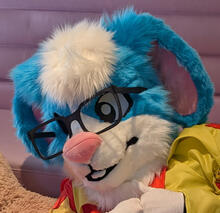 Monty T. Bunny