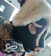 VioletSkunk