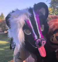 Violet Skunk (v2)